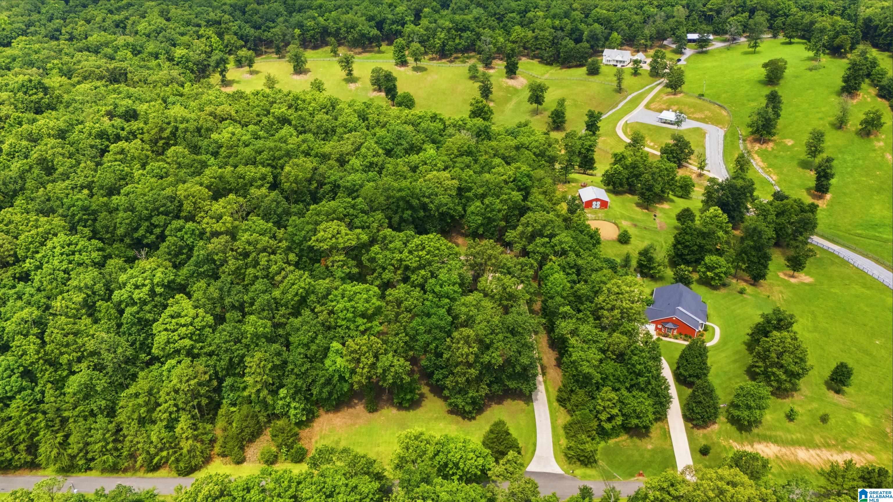 231 Country Ridge Road Montevallo, AL 35115 - Photo 52 of 60