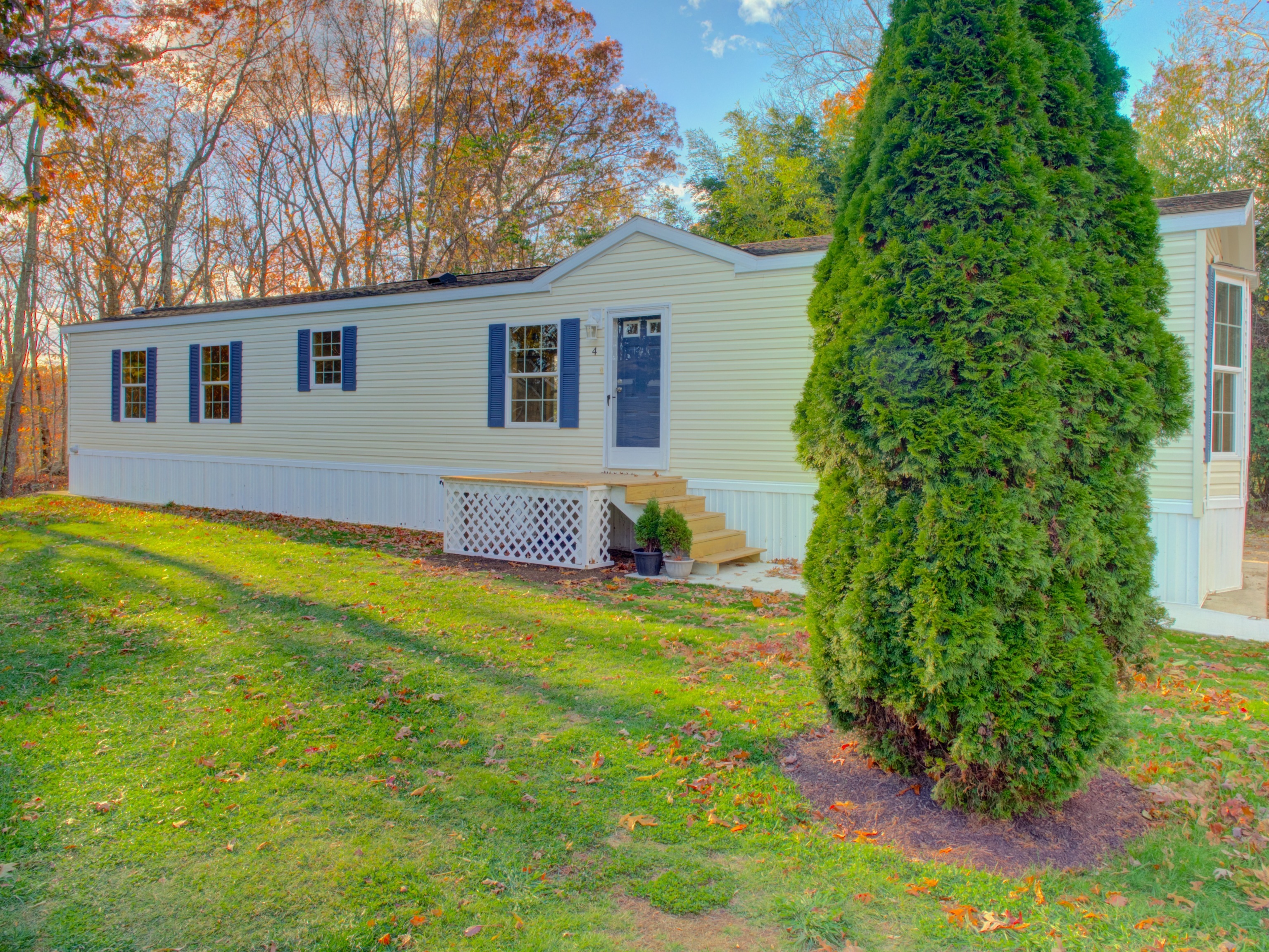a backyard of a house with large trees and plants