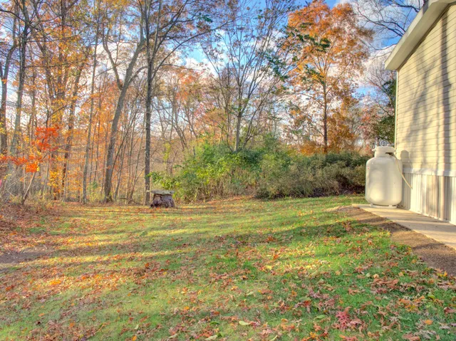 a view of a house with a yard and a large tree