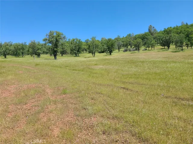 a view of a field with trees in the background