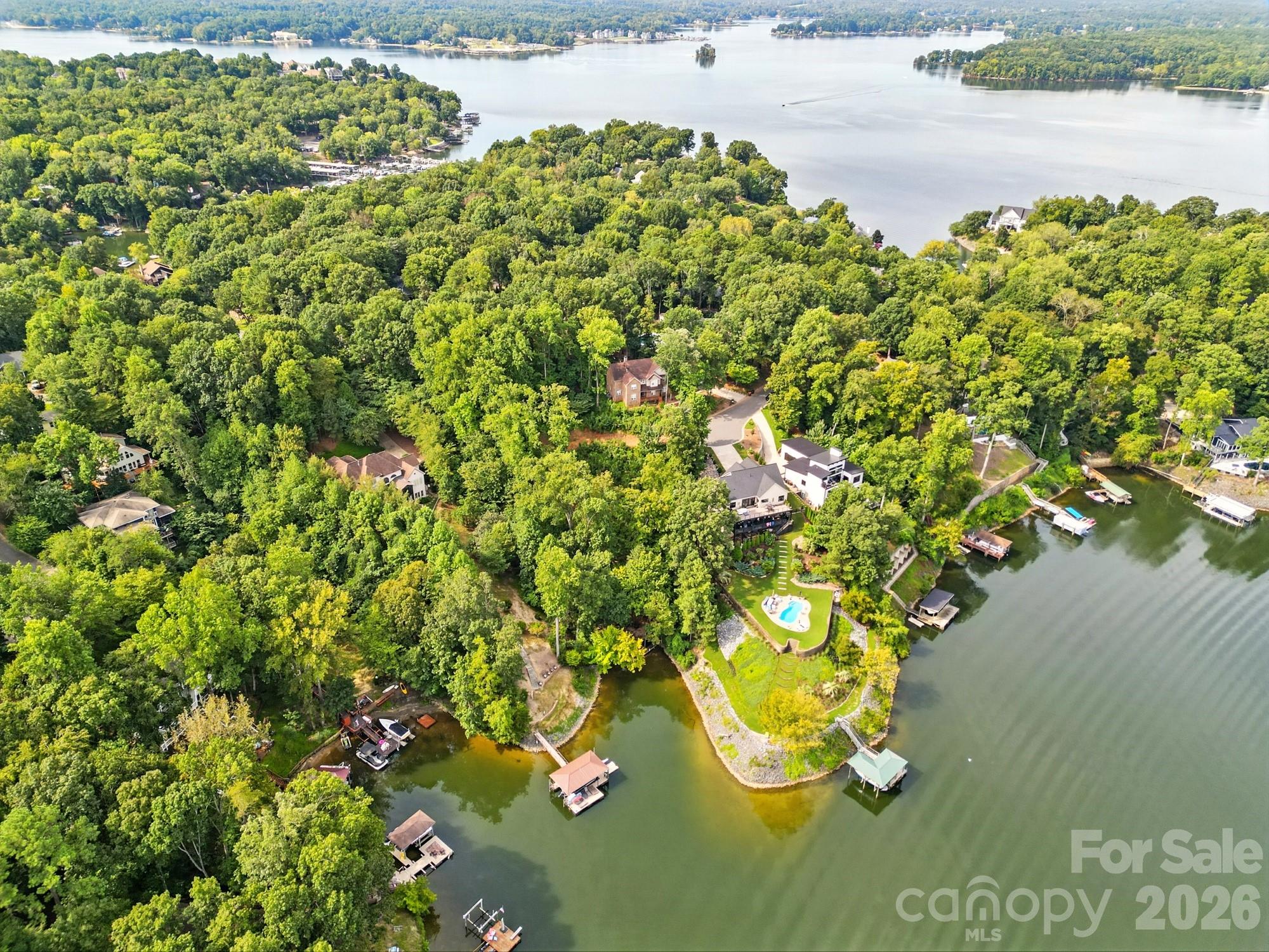 29010 Silver Fox Drive Tega Cay, SC 29708 - Photo 3 of 21 Gallery Image 3