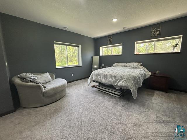3454 Anderson Road Hibbing, MN 55746 - Photo 6 of 31 Spacious room featuring gray carpet, dark gray walls, and multiple windows