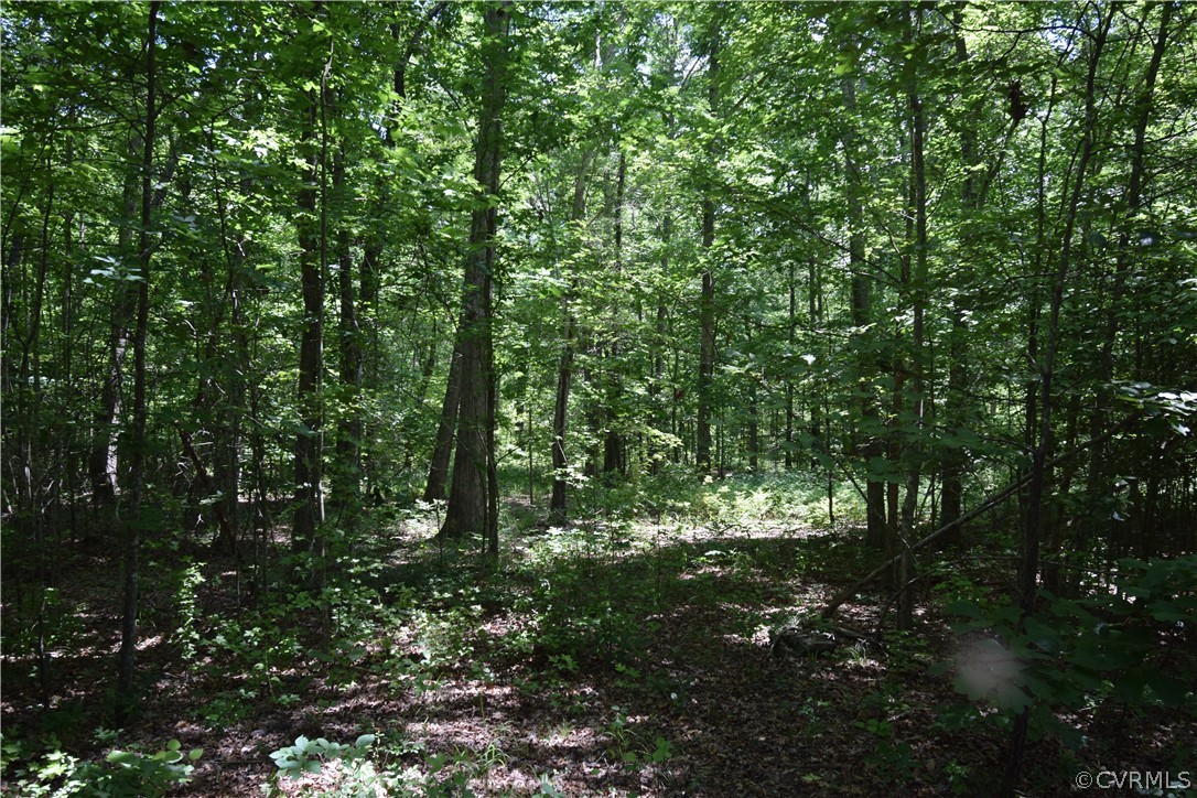 3810 Bailey Farm Road Moseley, VA 23120 - Photo 30 of 40 a view of outdoor space and green space