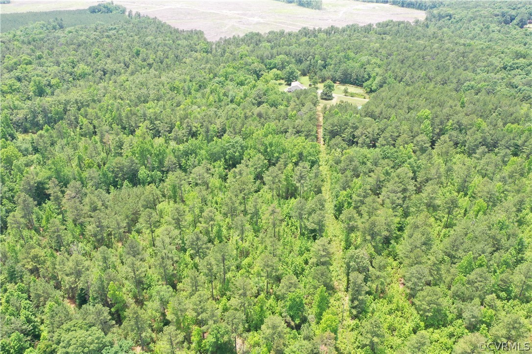 3810 Bailey Farm Road Moseley, VA 23120 - Photo 3 of 40 a view of a forest with a street