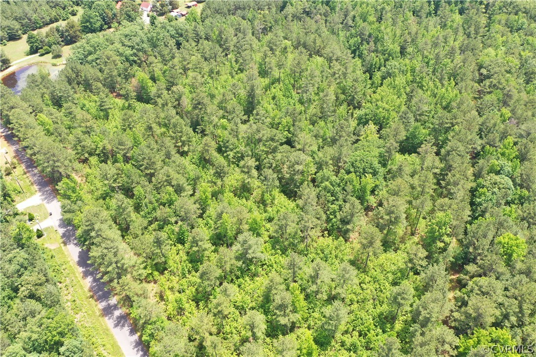 3810 Bailey Farm Road Moseley, VA 23120 - Photo 4 of 40 a view of a green field
