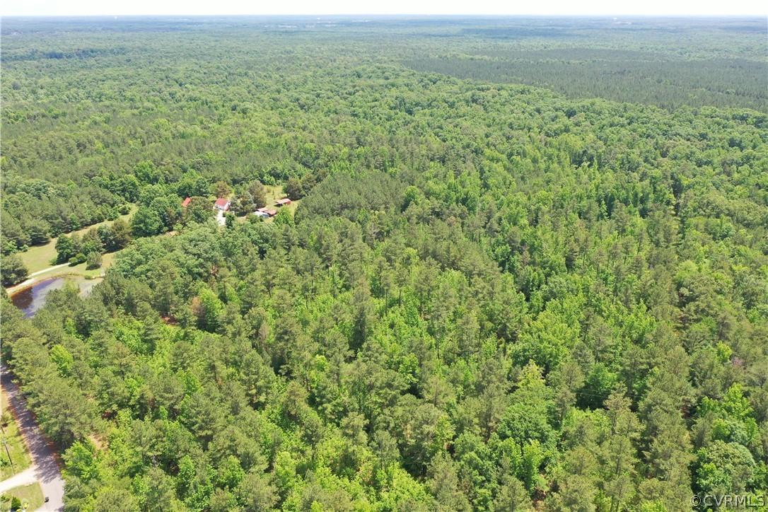 3810 Bailey Farm Road Moseley, VA 23120 - Photo 5 of 40 a view of a green field with lots of bushes