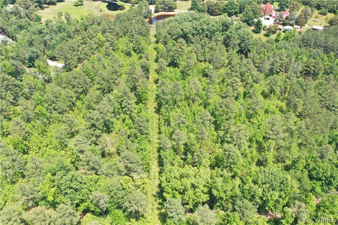 3810 Bailey Farm Road Moseley, VA 23120 - Photo 7 of 40 a view of a lush green field