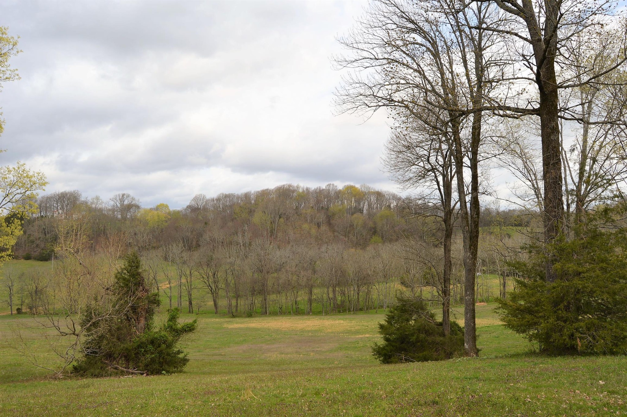 0 Carl Fox Road Cornersville, TN 37047 - Photo 5 of 29 Gallery Image 5