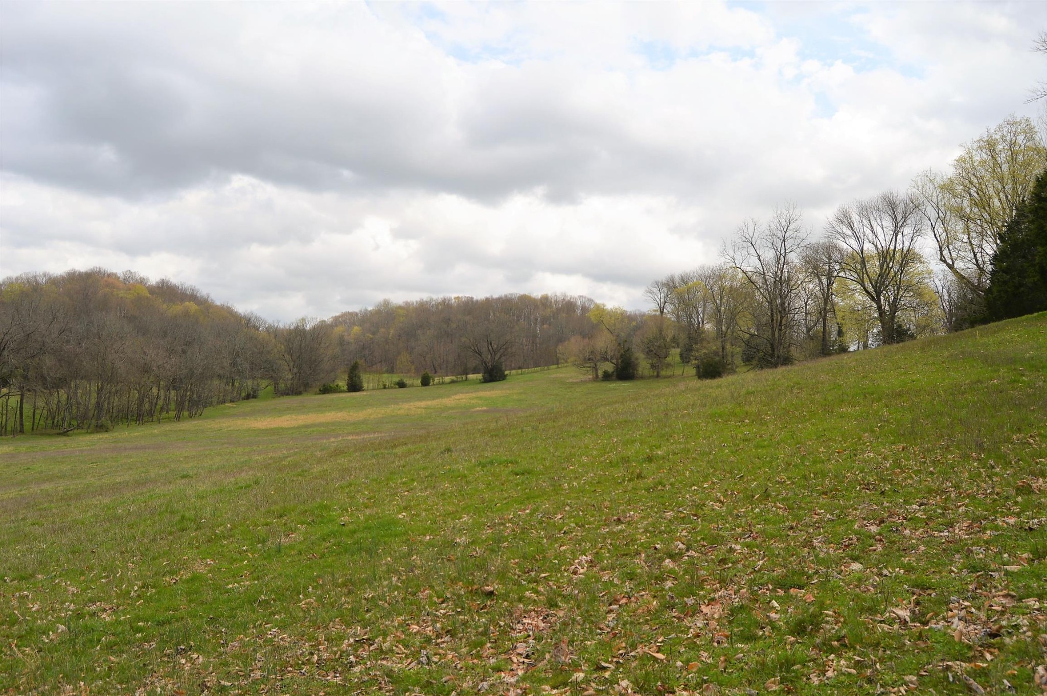 0 Carl Fox Road Cornersville, TN 37047 - Photo 7 of 29 Gallery Image 7