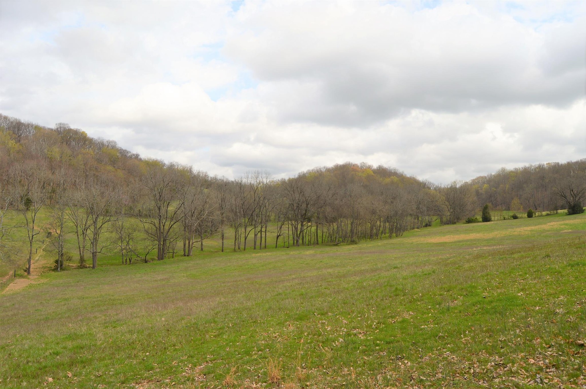 0 Carl Fox Road Cornersville, TN 37047 - Photo 8 of 29 Gallery Image 8