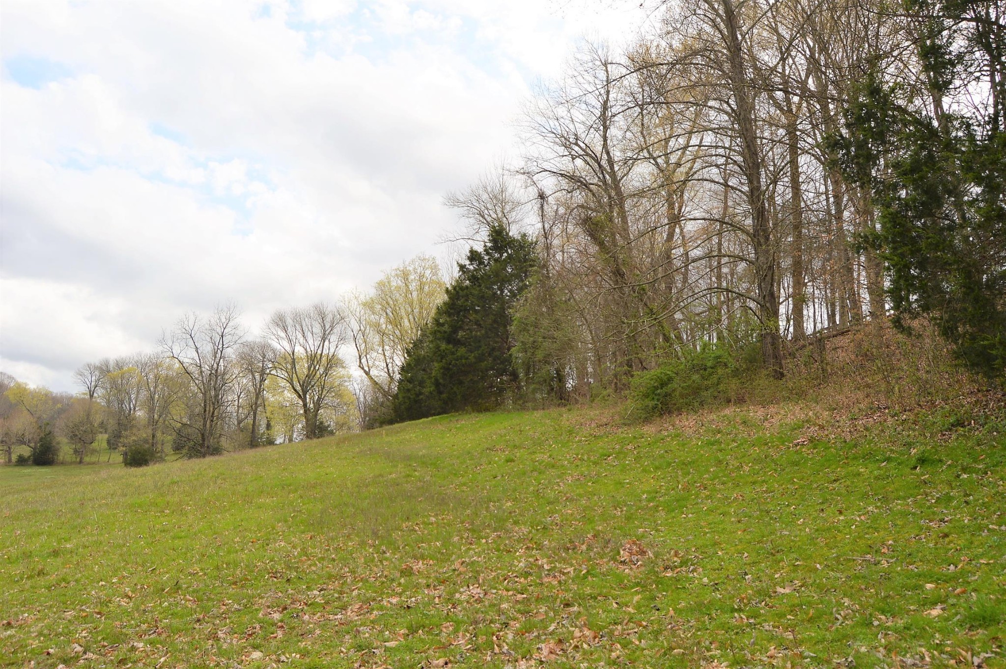 0 Carl Fox Road Cornersville, TN 37047 - Photo 9 of 29 Gallery Image 9
