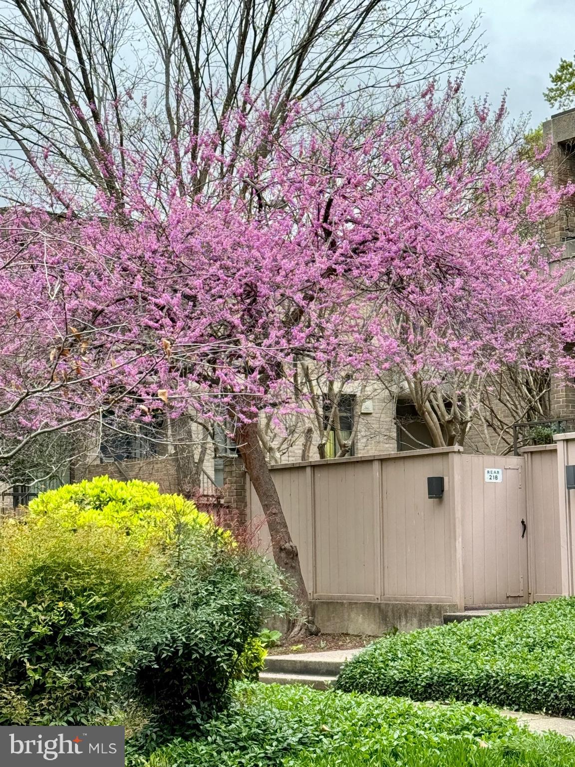 260 M Street Southwest, Unit 24 Washington, DC 20024 - Photo 33 of 43 Spring time blooms