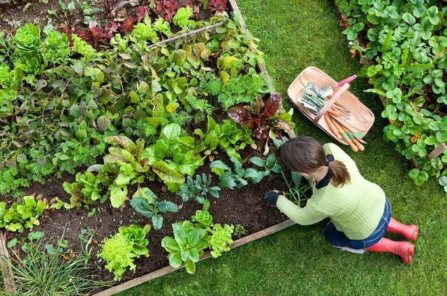 a backyard of a house with lots of green space and a fountain