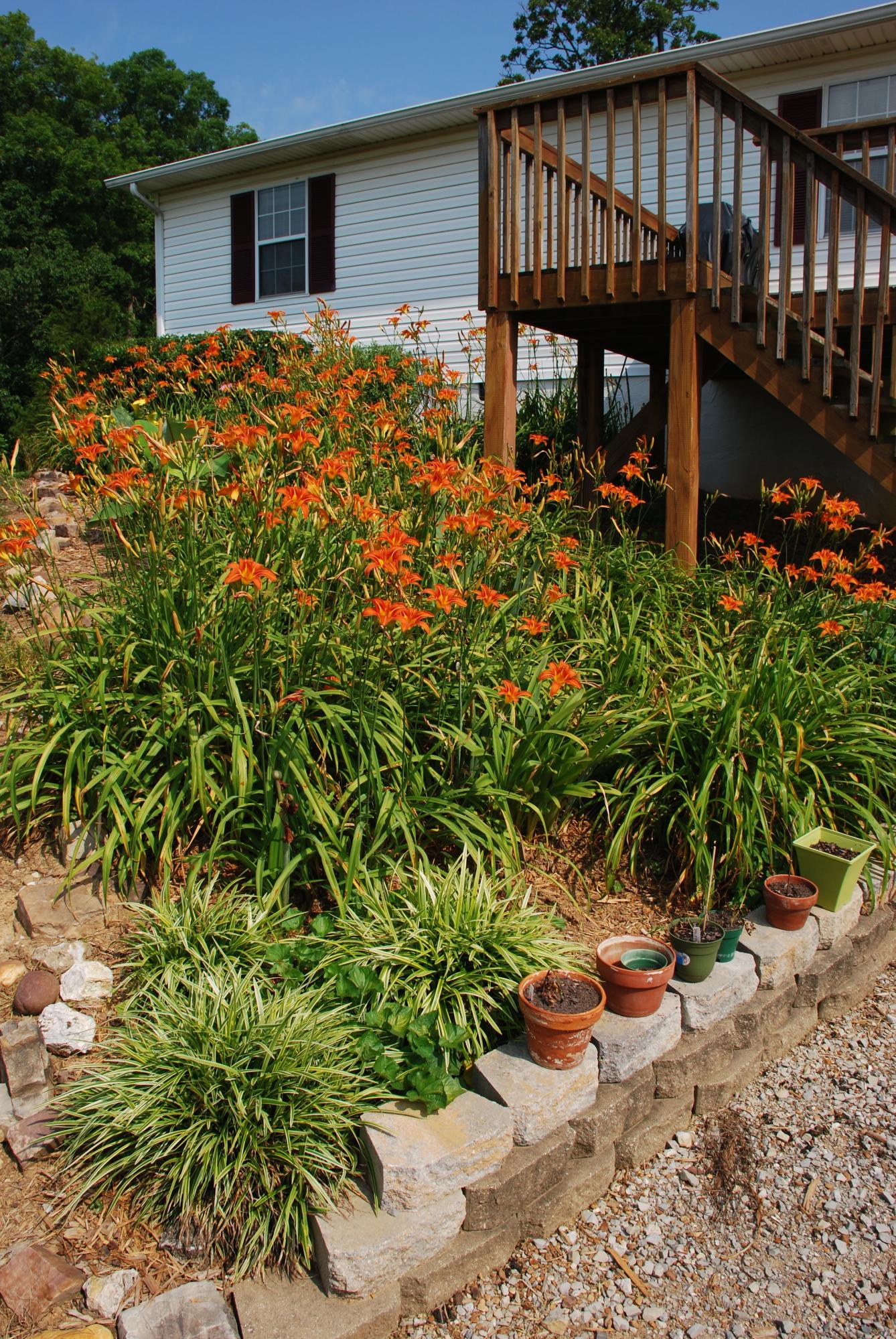 5238 Bell Ridge Drive Apison, TN 37302 - Photo 27 of 46 DSC_0488
