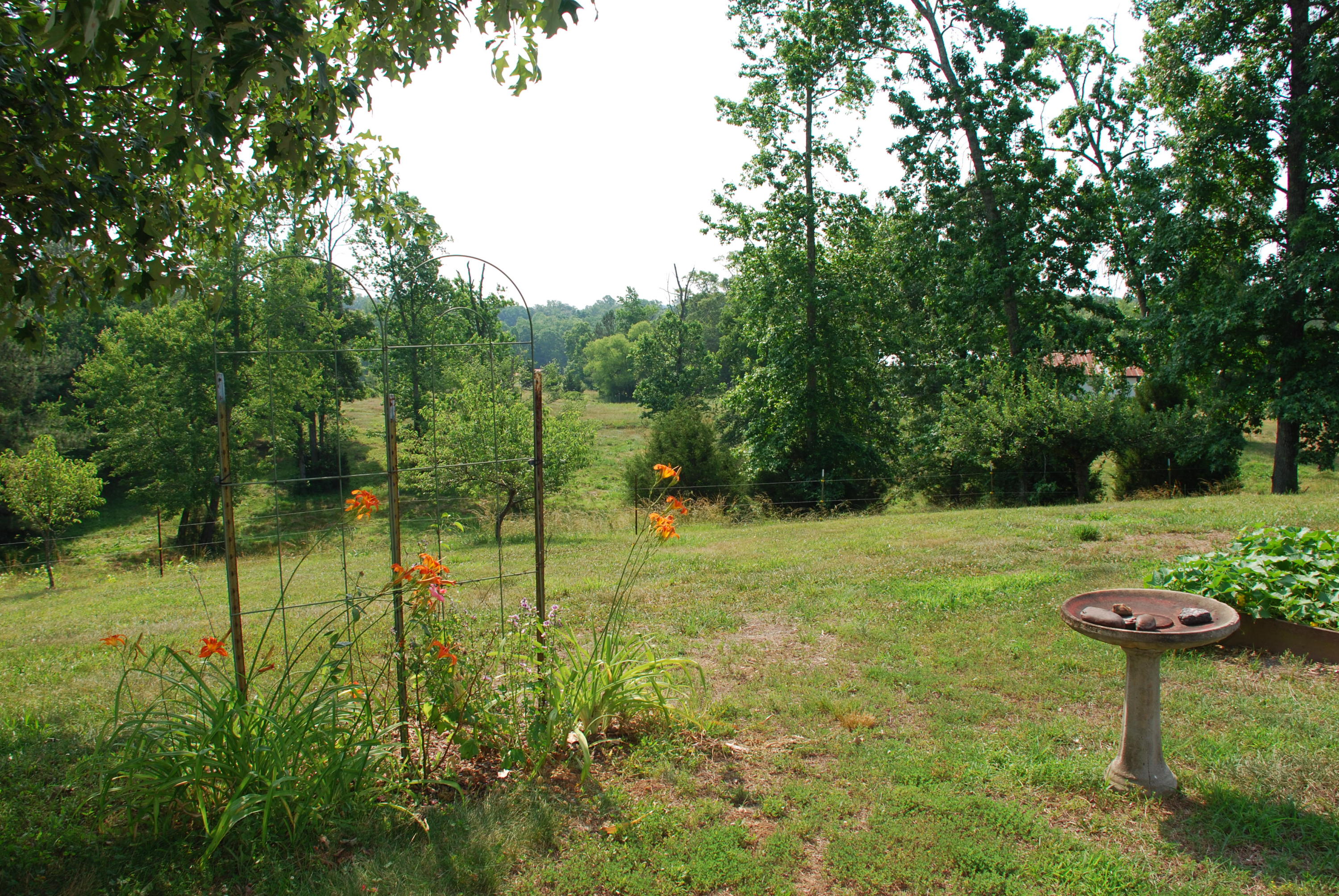 5238 Bell Ridge Drive Apison, TN 37302 - Photo 28 of 46 DSC_0490