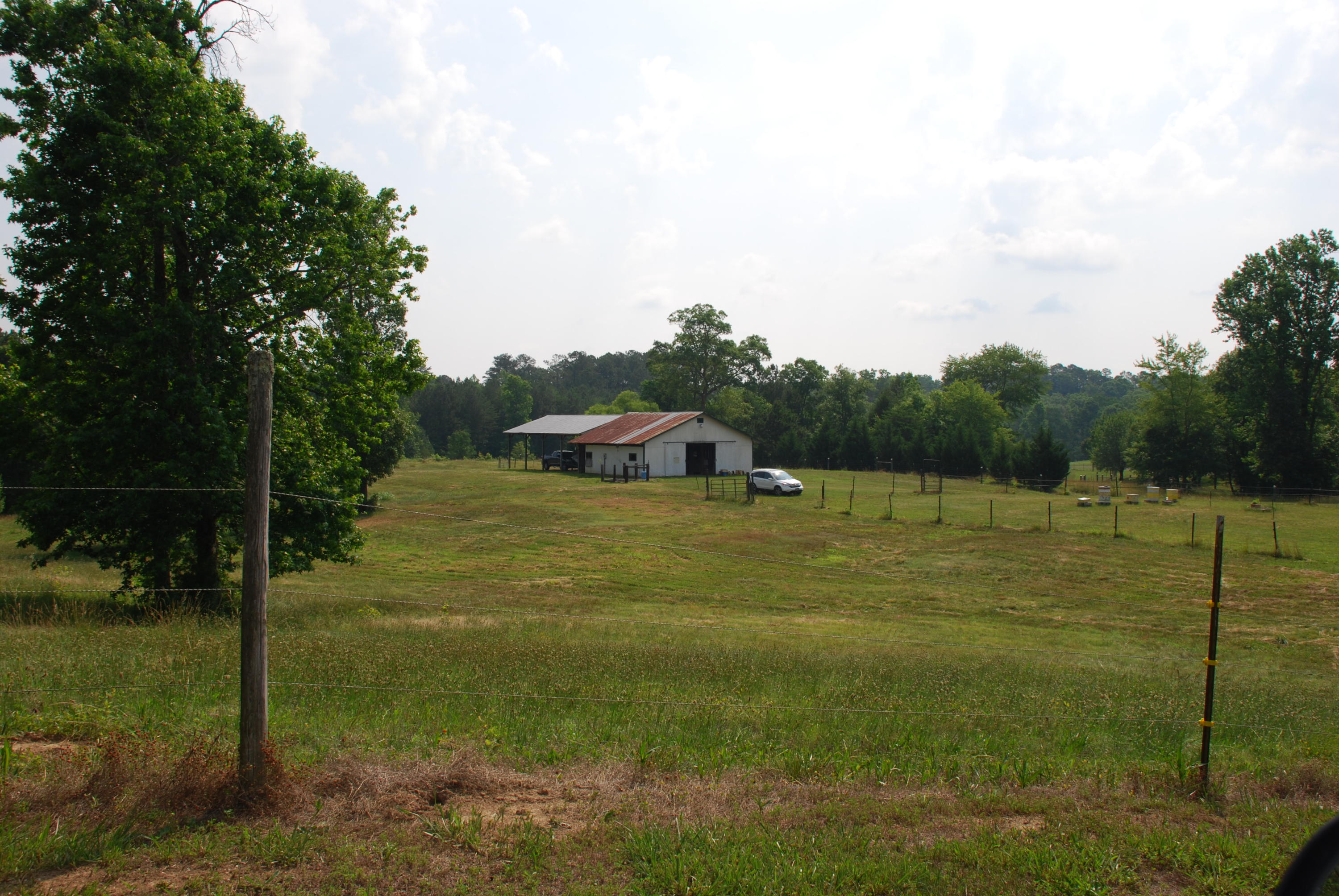5238 Bell Ridge Drive Apison, TN 37302 - Photo 30 of 46 DSC_0495