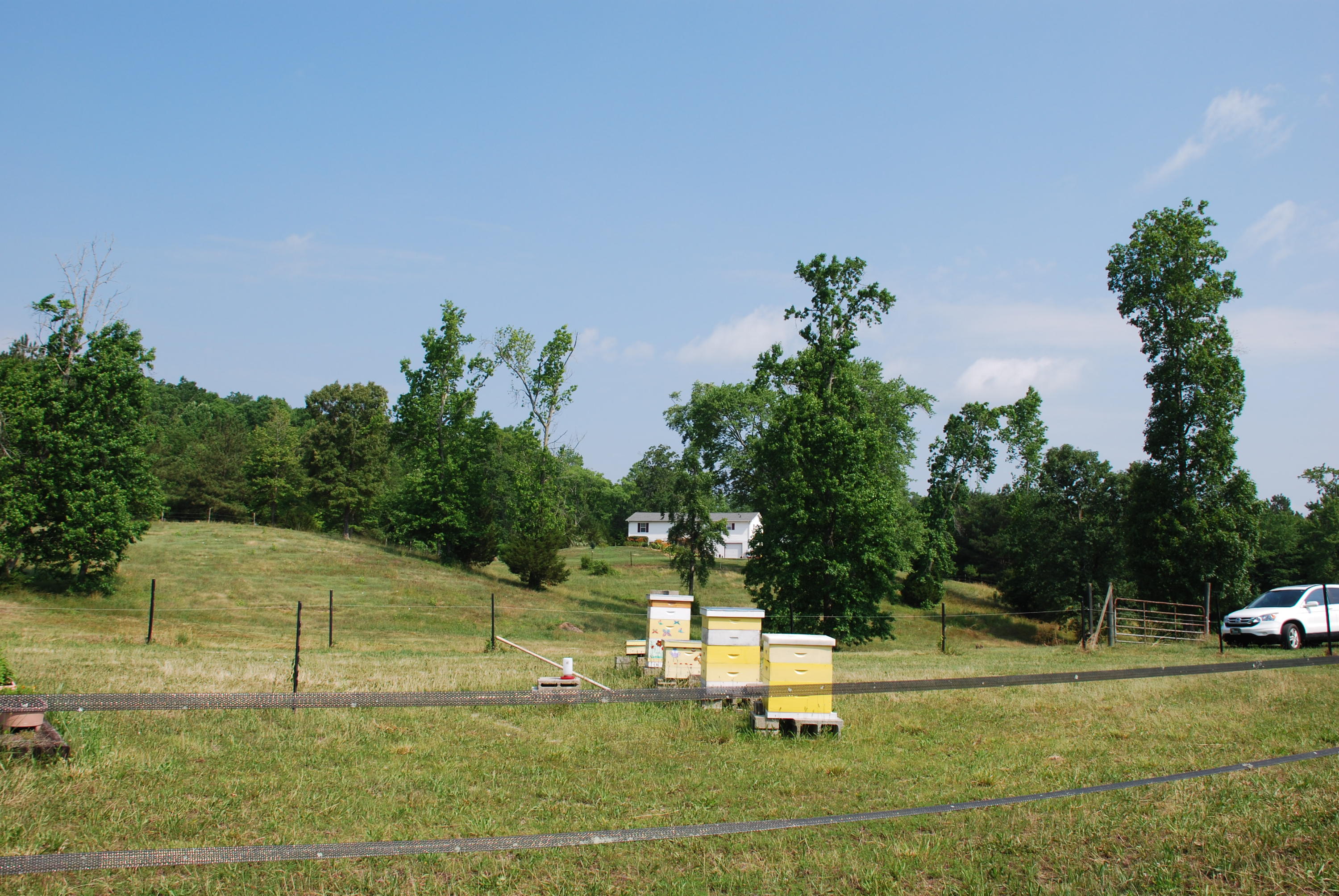 5238 Bell Ridge Drive Apison, TN 37302 - Photo 31 of 46 DSC_0496