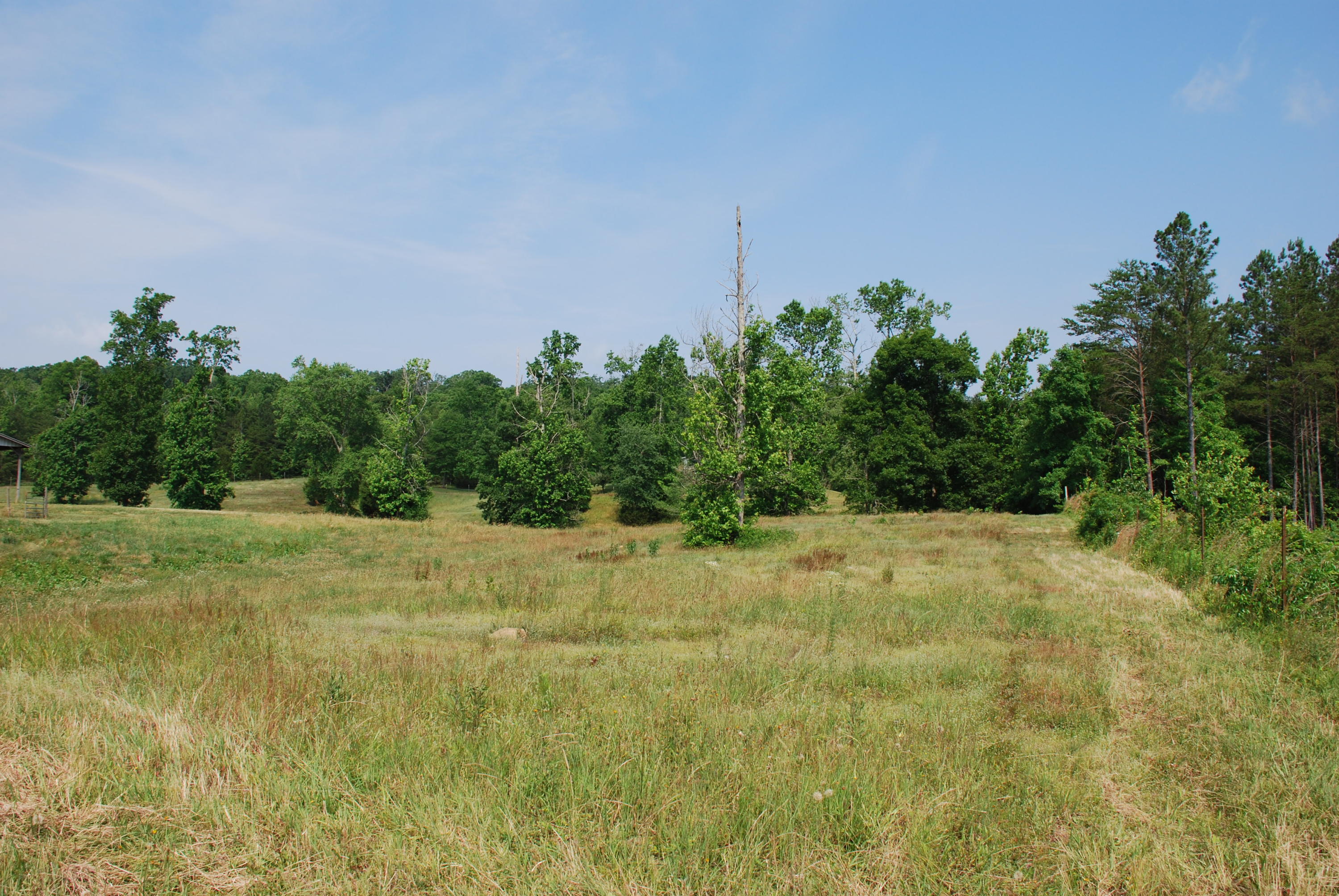 5238 Bell Ridge Drive Apison, TN 37302 - Photo 40 of 46 DSC_0507