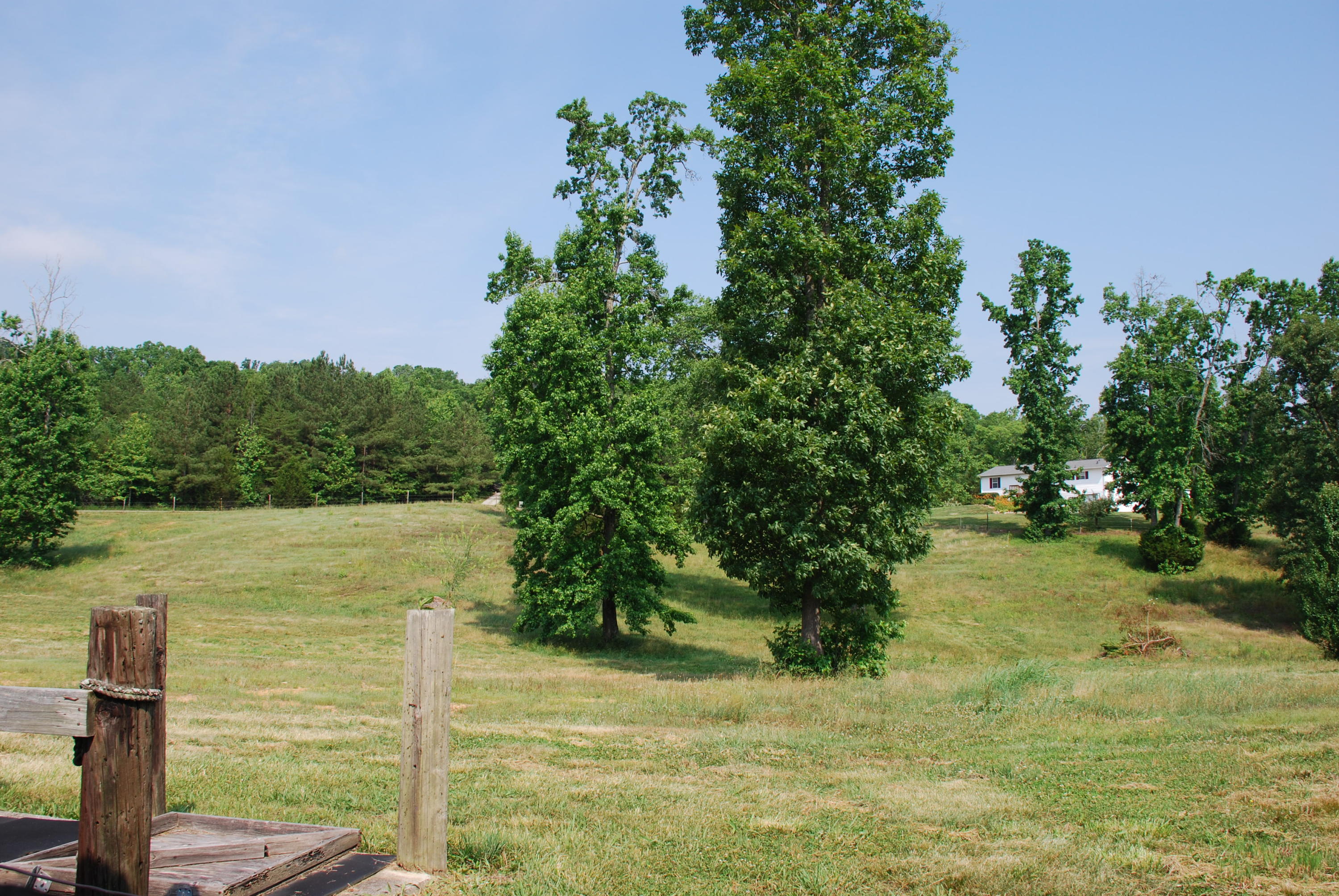5238 Bell Ridge Drive Apison, TN 37302 - Photo 43 of 46 DSC_0514