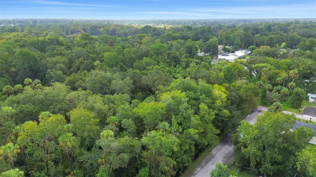 an aerial view of a city with lush green forest