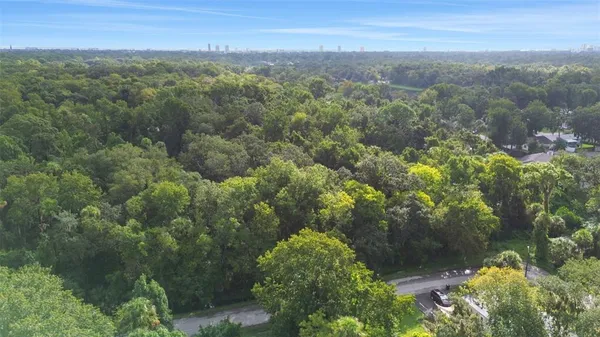 a view of a lake with a mountain in the background