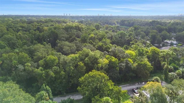 a view of a lake with a mountain in the background
