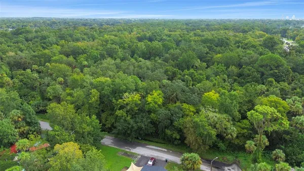 a view of a lush green forest with trees and some houses