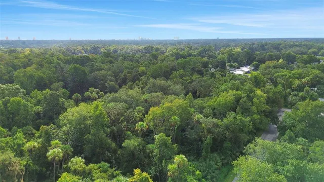 an aerial view of forest