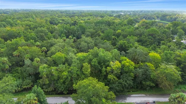 a view of a green yard with large trees