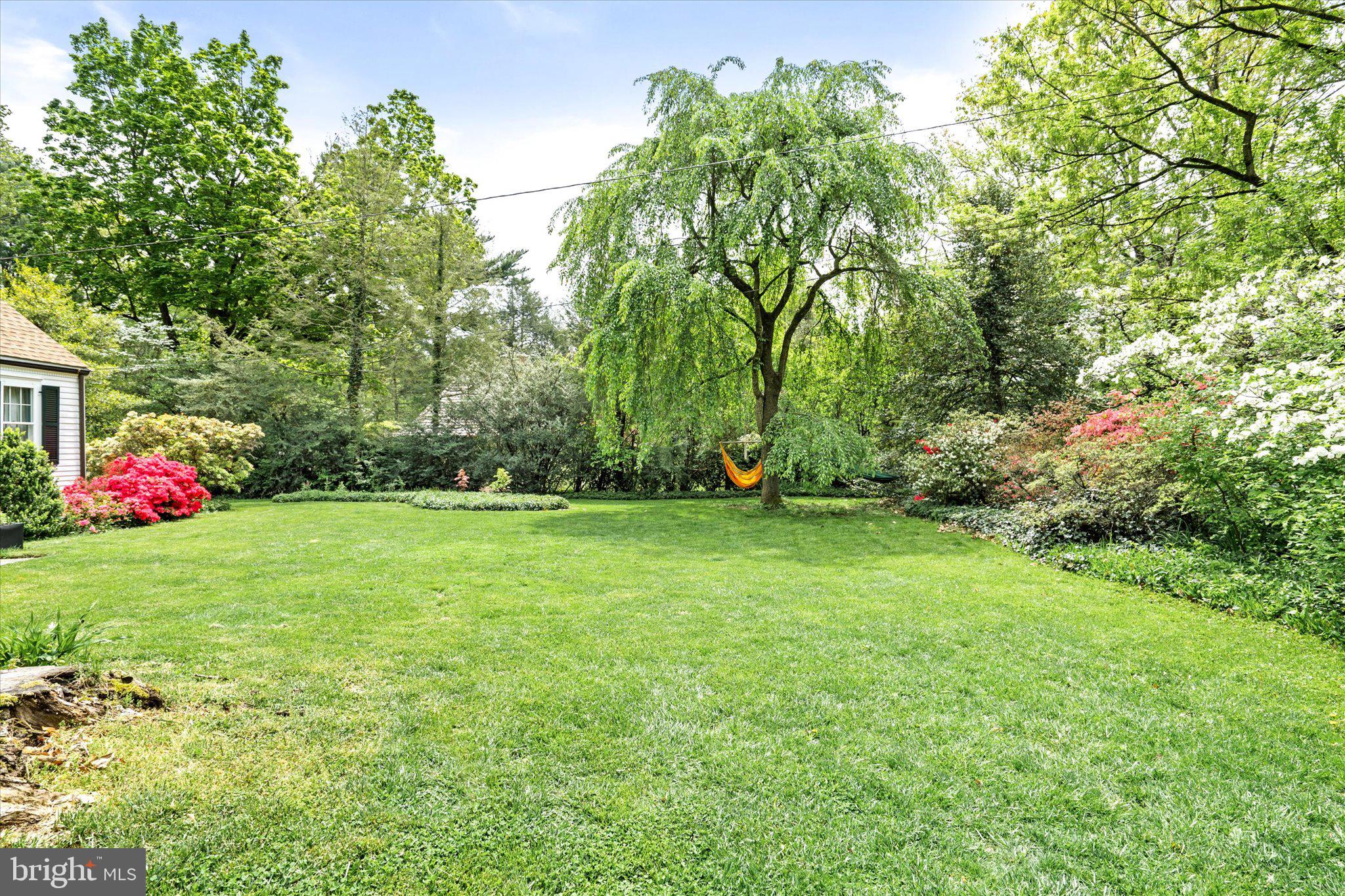21 Elm Road Princeton, NJ 08540 - Photo 26 of 28 a view of a park with large trees