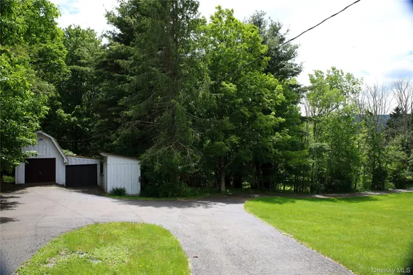 a backyard of a house with plants and large tree