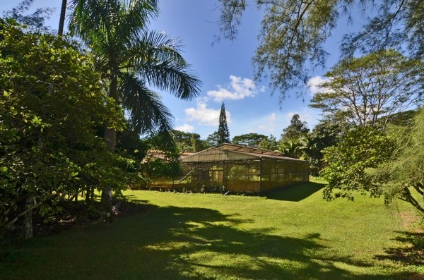 14-607 Pakaka Road Pahoa, HI 96778 - Photo 19 of 25 Gallery Image 19