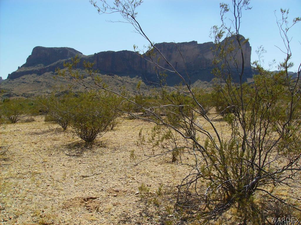 Land and views