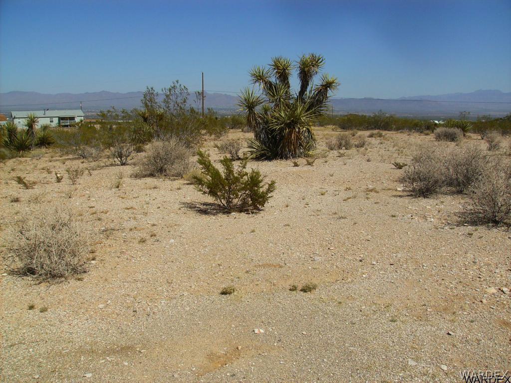 Looking east across valley