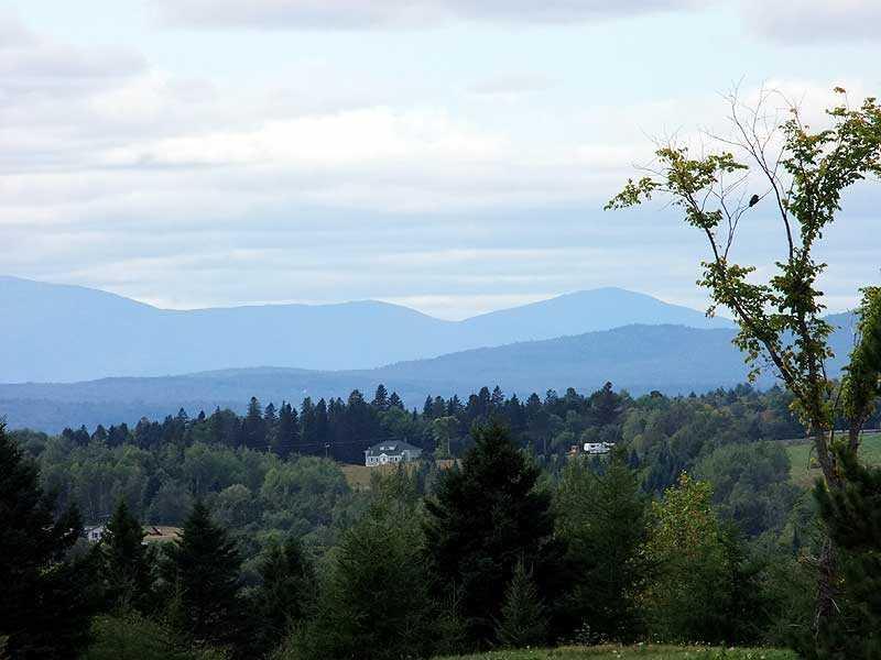 Lot 18 Thompson Settlement Road Oakfield, ME 04763 - Photo 5 of 19 Land.