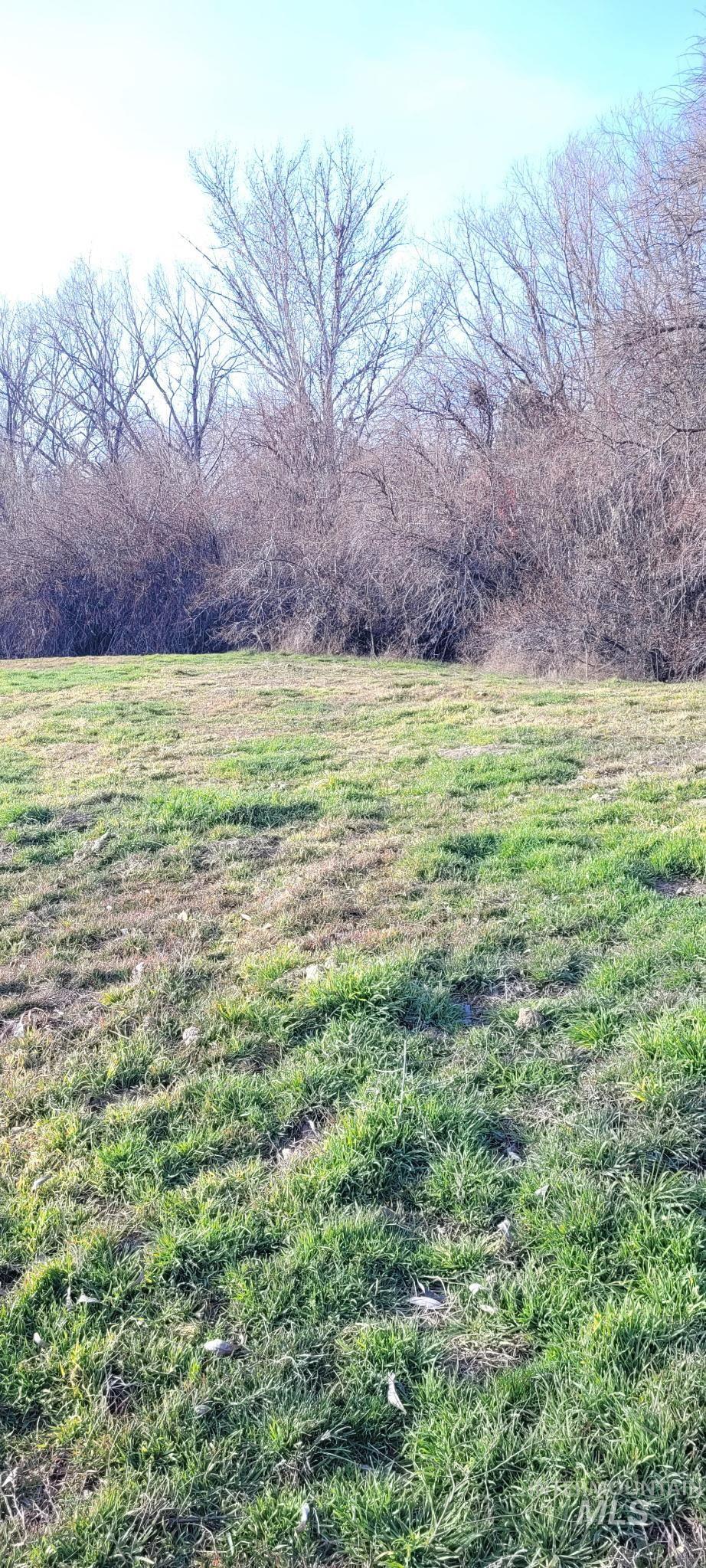 0 Crystal Lane Wilder, ID 83676 - Photo 11 of 27 View of grassy yard