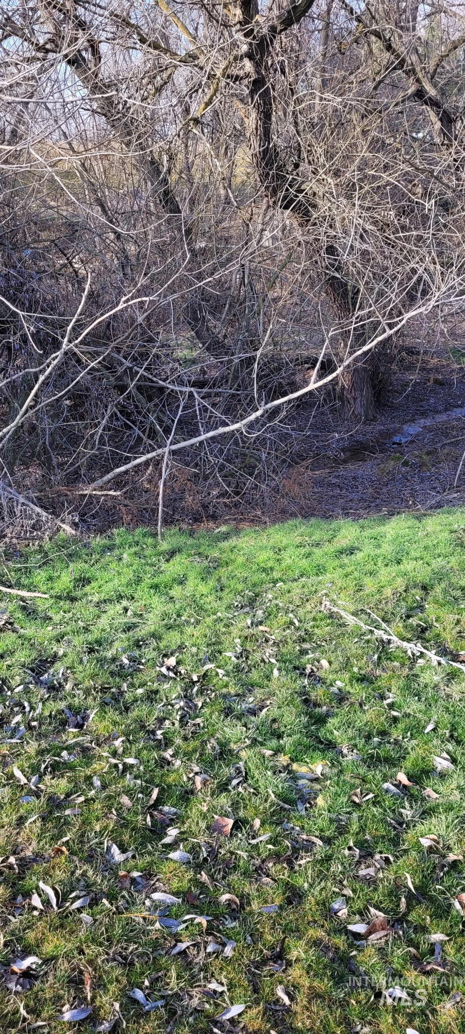 0 Crystal Lane Wilder, ID 83676 - Photo 15 of 27 View of yard