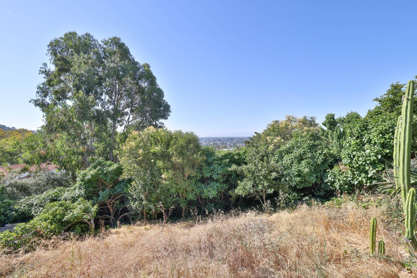 2291 Upland Road San Leandro, CA 94578 - Photo 23 of 32 a view of a yard with a tree