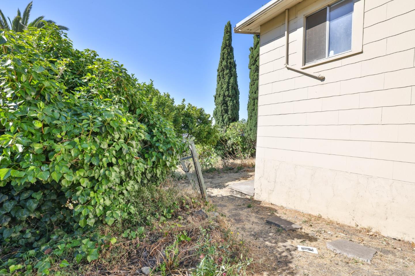 2291 Upland Road San Leandro, CA 94578 - Photo 24 of 32 a backyard of a house with lots of green space