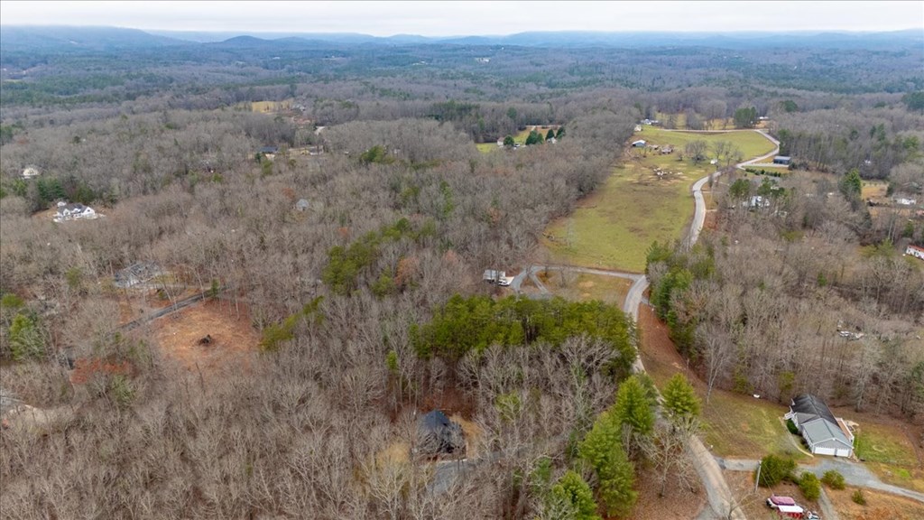 10 Johnson Ford Road Epworth, GA 30541 - Photo 44 of 50