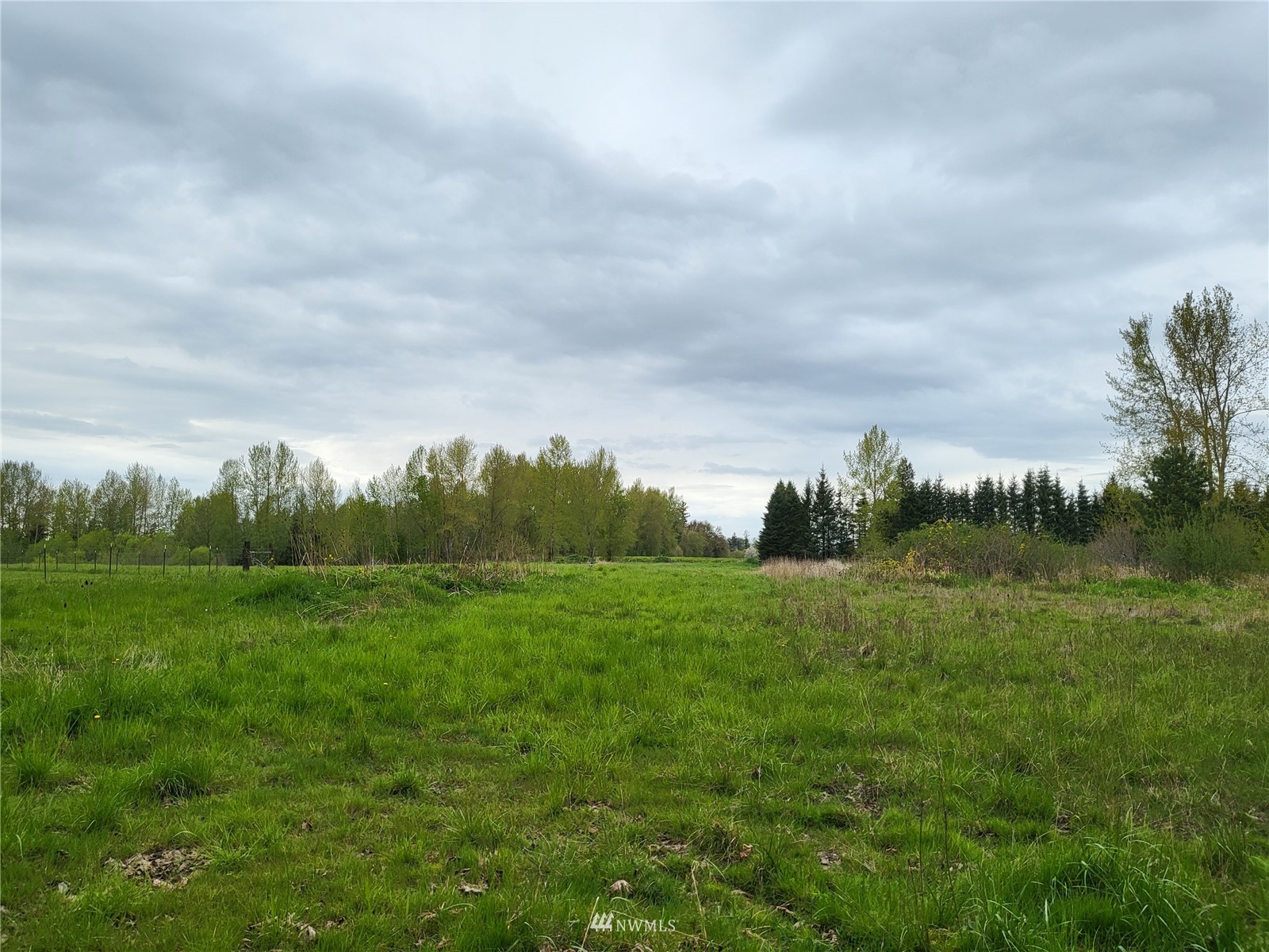 54 Waschke Road Bellingham, WA 98226 - Photo 8 of 16 a view of a field of grass and trees