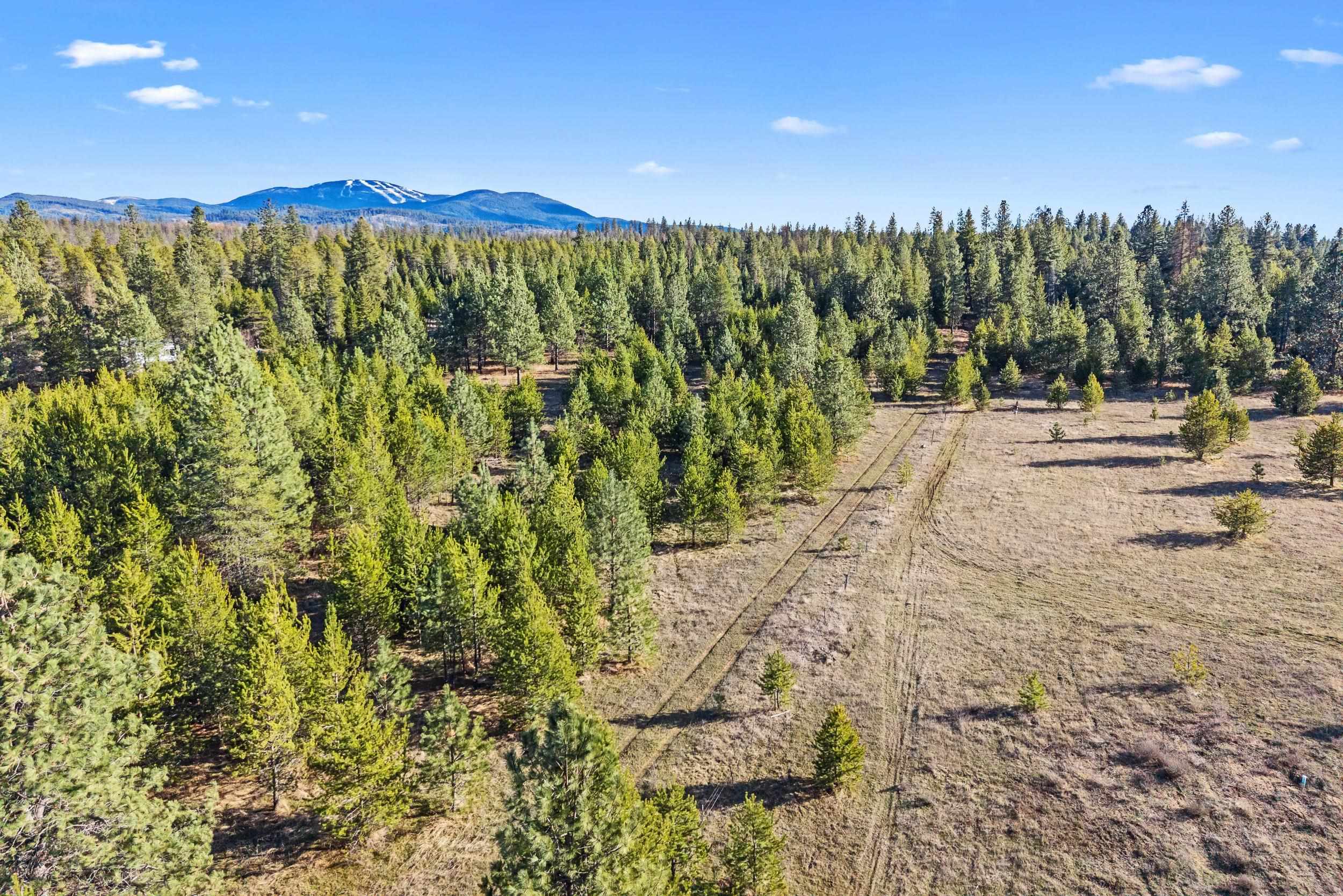 12818 East Bridges Road Elk, WA 99009 - Photo 1 of 25
