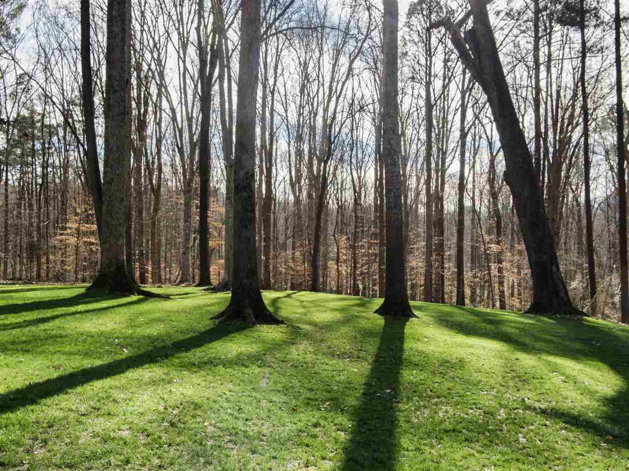 813 Darfield Drive Raleigh, NC 27615 - Photo 6 of 7 Photo 6
