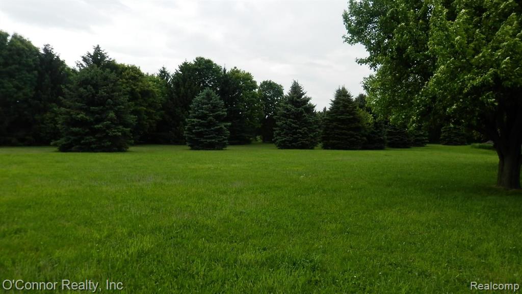 0 Mericle Road Avoca, MI 48006 - Photo 8 of 9