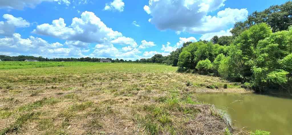 91 County Road 91 Slocomb, AL 36375 - Photo 1 of 18