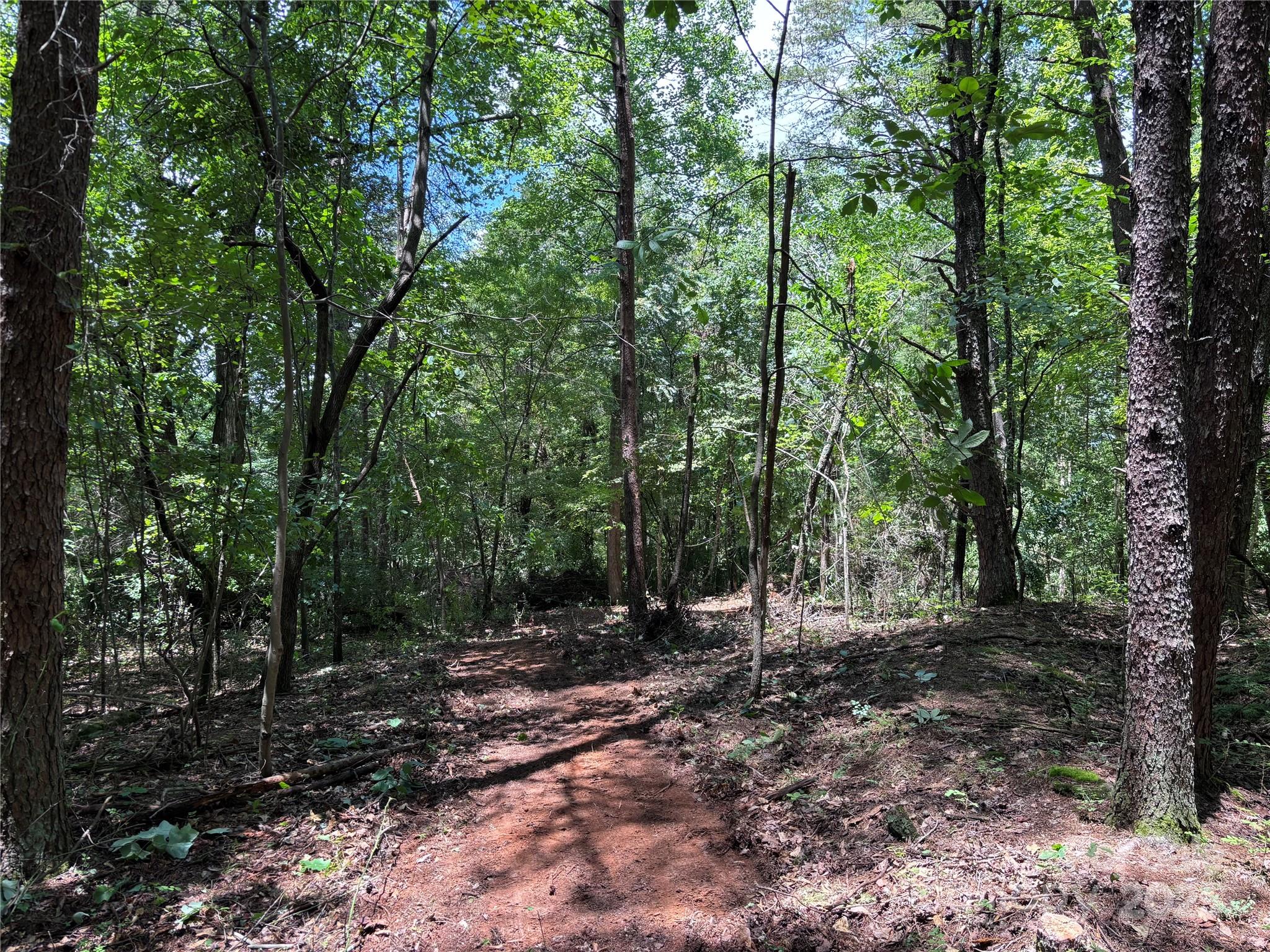 0 Old Ball Park Road Spindale, NC 28160 - Photo 3 of 12