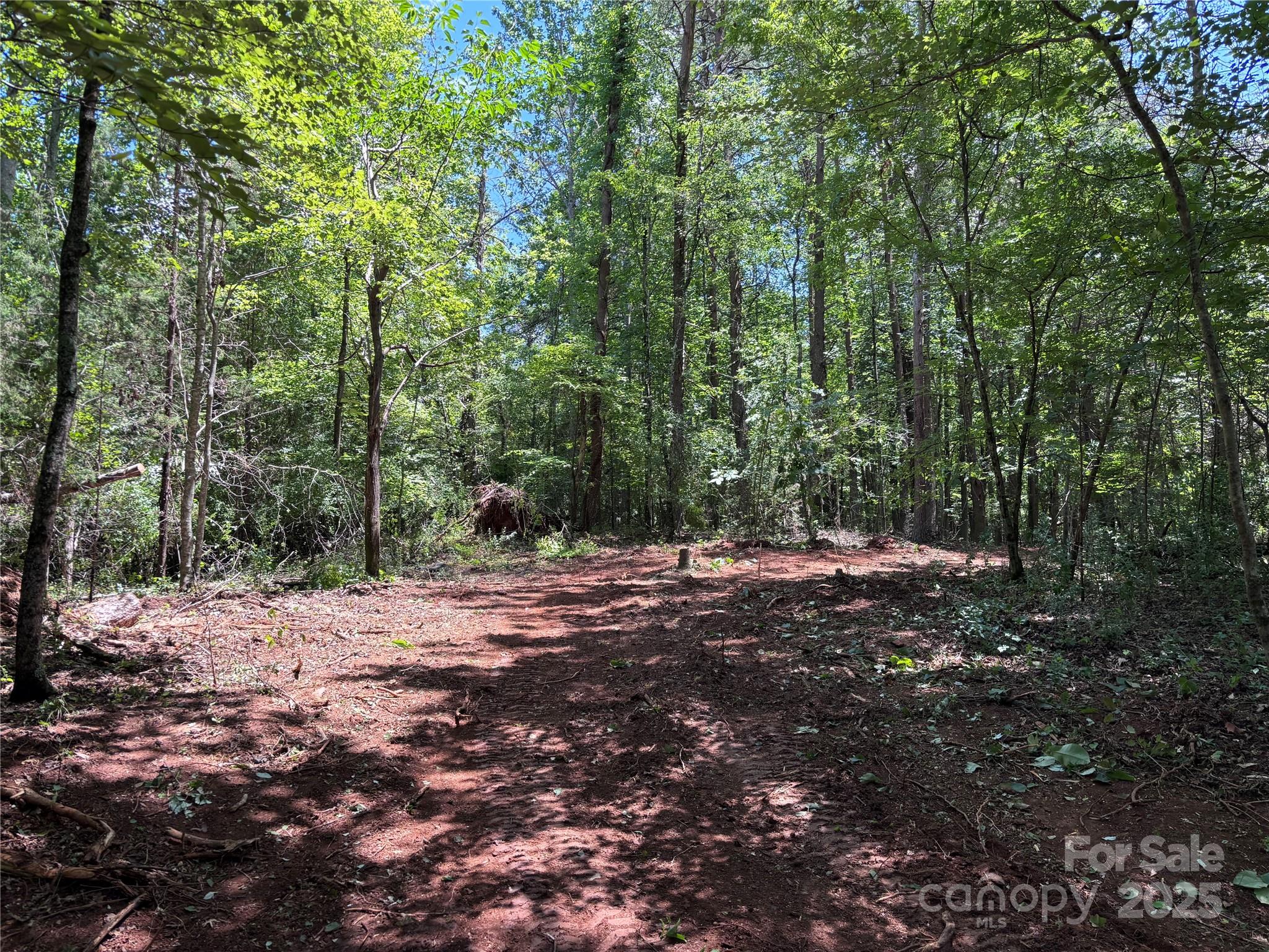 0 Old Ball Park Road Spindale, NC 28160 - Photo 4 of 12