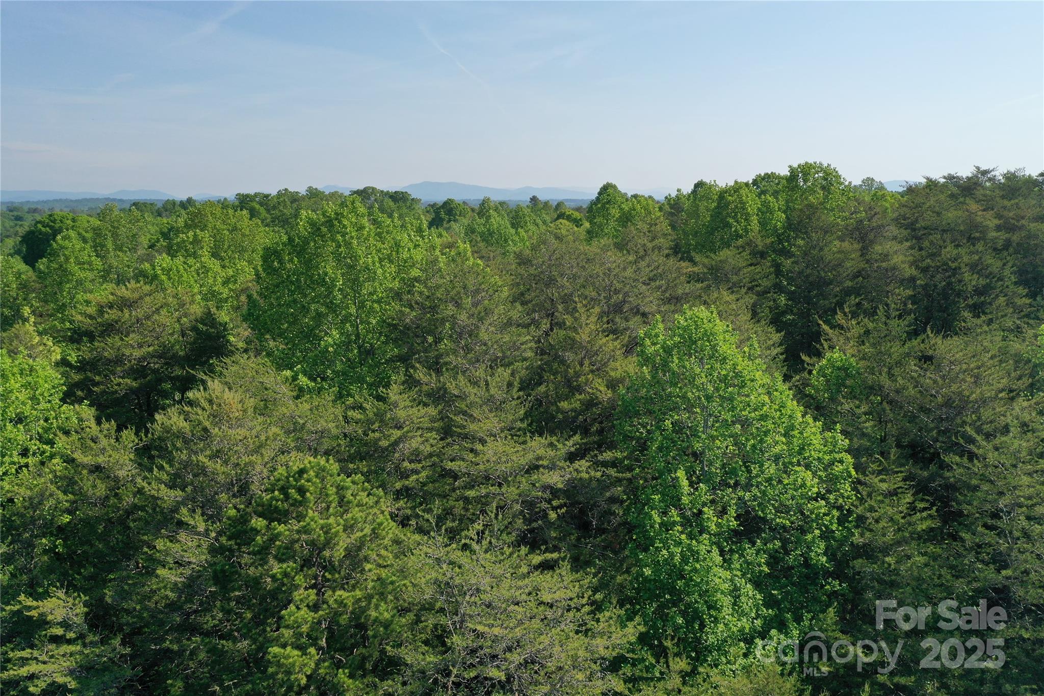 0 Old Ball Park Road Spindale, NC 28160 - Photo 5 of 12