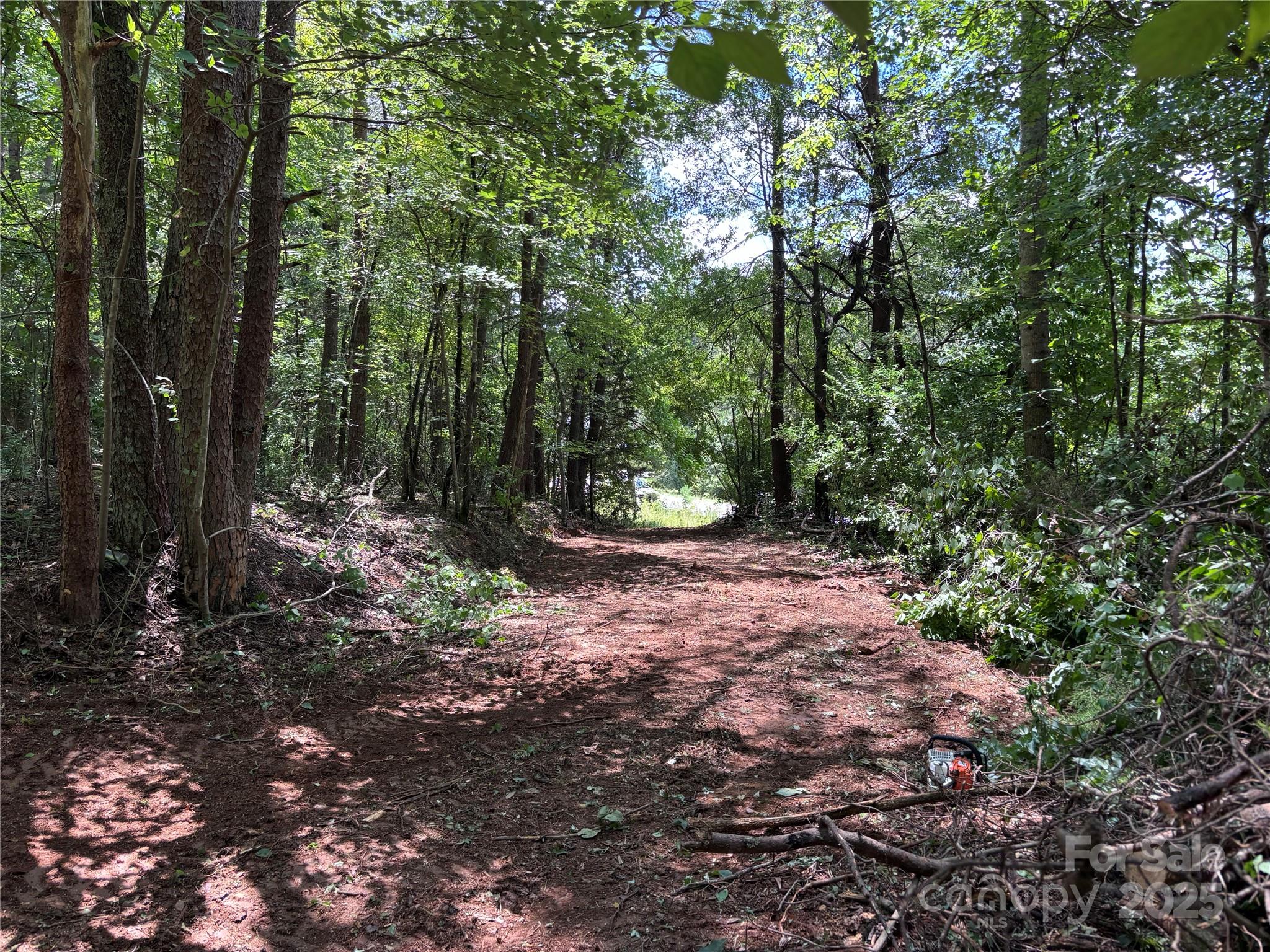 0 Old Ball Park Road Spindale, NC 28160 - Photo 9 of 12