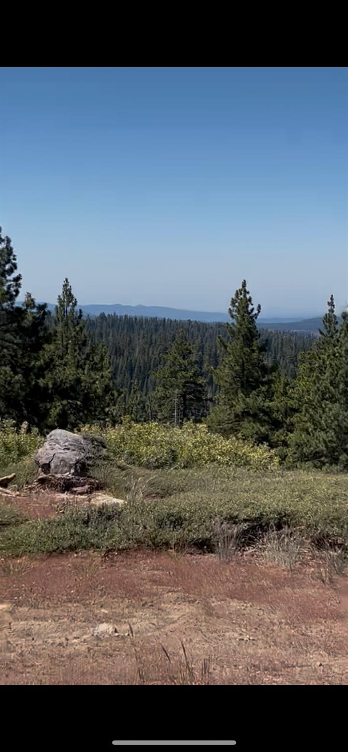 60 Liberty Road, Unit 60 Arnold, CA 95223 - Photo 30 of 59
